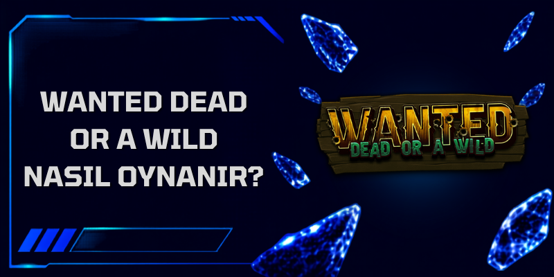 Wanted Dead or a Wild Nasıl Oynanır?